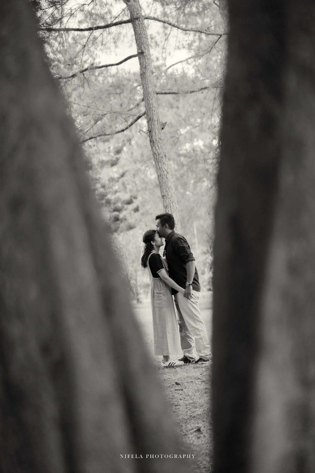 Dhony-dan-Thina-2